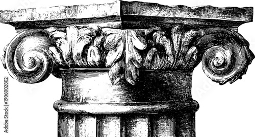 Vintage architectural column capital with botanical ornament design for prints and posters