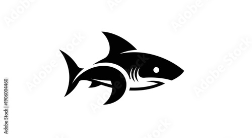 Shark silhouette on white background