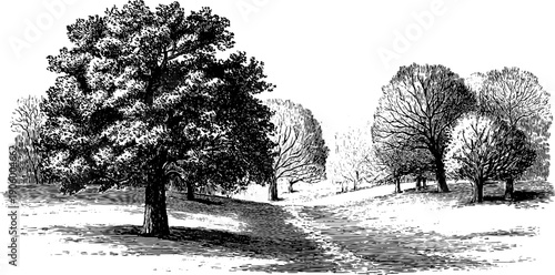 December nature scene with snow-covered ground and botanical elements in vintage style