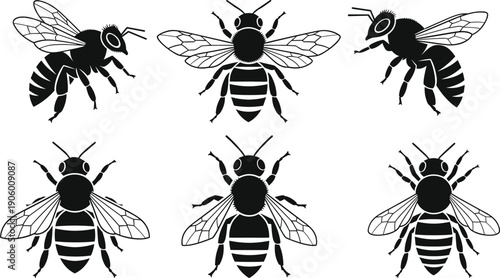 Black and white honey bee vector silhouette collection featuring various poses and flying angles for nature wildlife pollination biology and entomology graphic design.