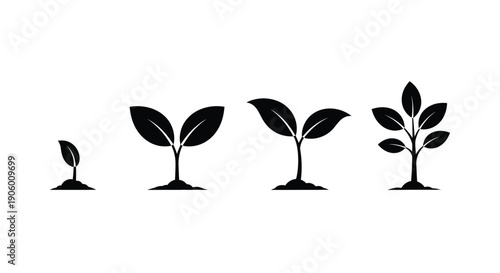 Plant growth stages depicted in a minimalist black silhouette
