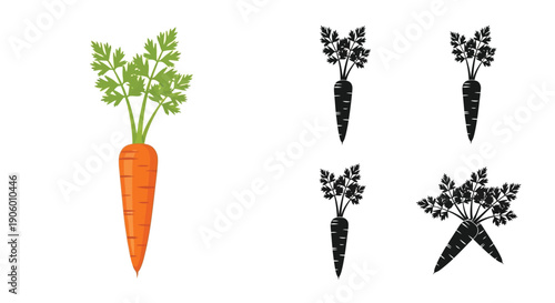 Fresh carrot and its black silhouette variations a vibrant contrast silhouette