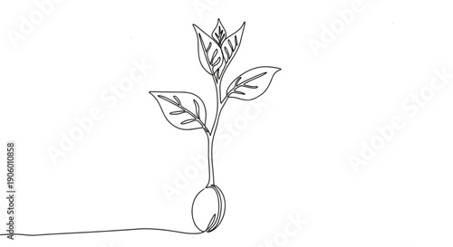 Outline illustration of a sprouting plant with leaves growing from a seed