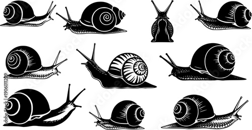Collection of black snail silhouettes on white background
