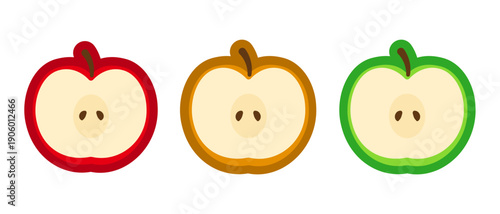 カットされたりんごと梨と青りんご　断面イラスト