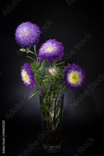 Wallpaper Mural Bouquet of Purple Aster Flowers in Glass Vase on Black Background Torontodigital.ca
