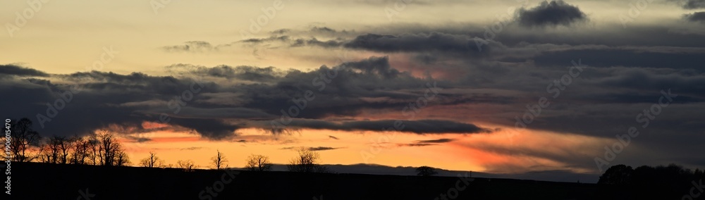 Fototapeta premium Dramatic sunset sky with silhouetted leafless trees along horizon