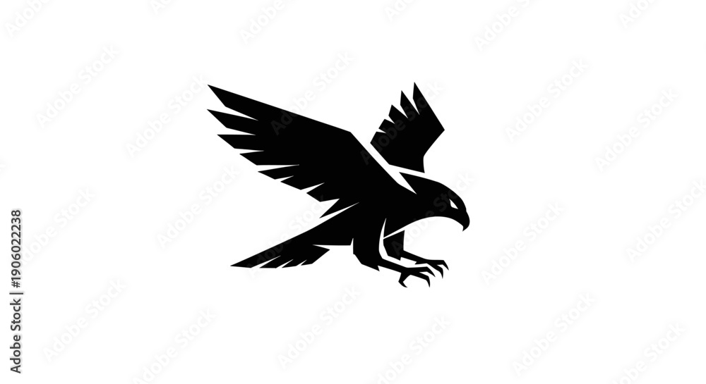 Fototapeta premium Soaring bird silhouette on white background