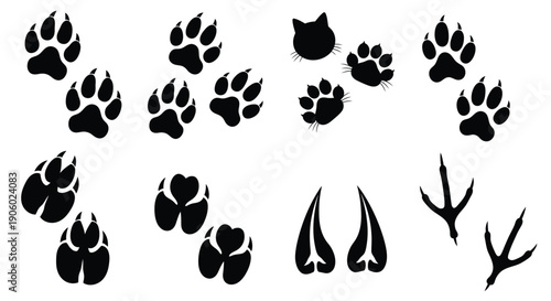 Animal footprints and paw prints in a black silhouette