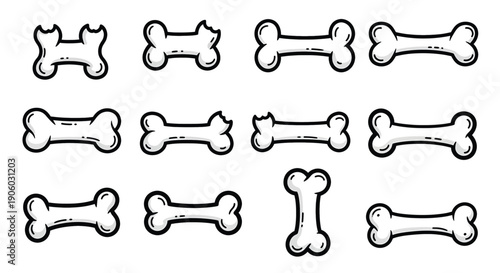 Collection of Dog Bones in Various Shapes.