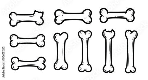 Collection of Dog Bones Illustration Set.