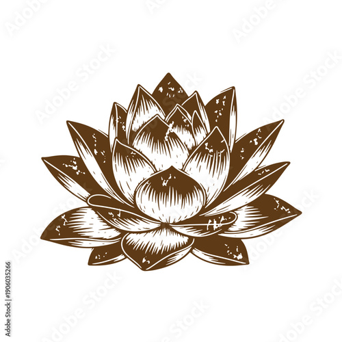 A large brown and white lotus flower with many petals on white background  a symbol of beauty and serenity in nature Grunge Vintage Style
