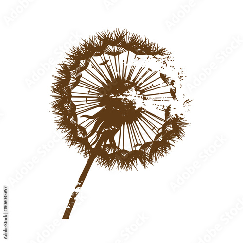 Dandelion seed head with dispersing seeds in a grunge style illustration  closeup of a brown flower Grunge Vintage Style