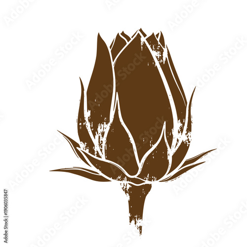 Grunge artichoke flower illustration with a distressed texture on white background for food and vegetable design Vintage Style