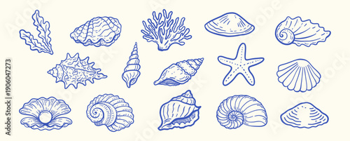 Hand-drawn marine illustration set with seashells, starfish and coral in blue line art style, minimalist ocean elements collection isolated on white background for logo, pattern or stationery design