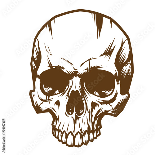 Grunge texture A brown illustration of a human skull on a white background Vintage Style