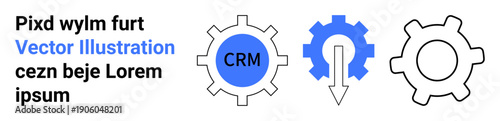 Business management, workflow optimization, technology integration, data flow, automation, and operations. Three gear icons with CRM in one and a downward arrow in another. Business management