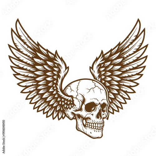 Vintage Grunge Illustration of a skull with wings on a plain background  symbolizing freedom and mortality