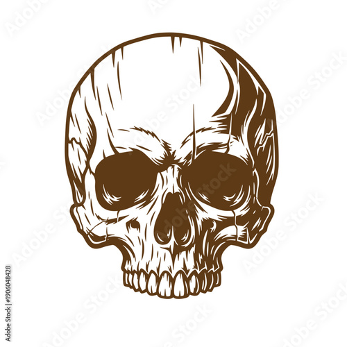 Grunge texture Drawing of a human skull on white background Vintage Style