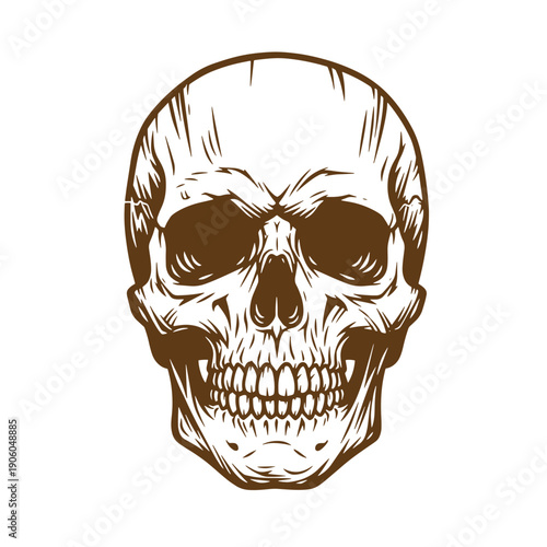 Grunge texture Illustration of a human skull with a detailed face and teeth on white Vintage Style