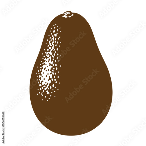 Grunge texture ripe avocado fruit illustration with skin texture on white background Vintage Style