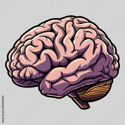 Human Brain Anatomy Illustration in Detailed Cartoon Comic Style 