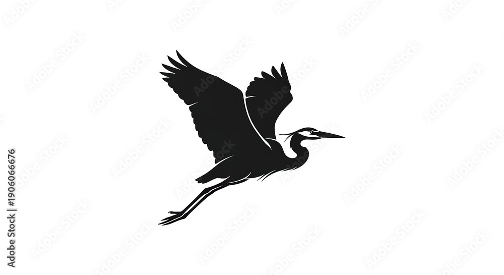 Fototapeta premium Silhouette of a Great Blue Heron in Flight Against White Background.