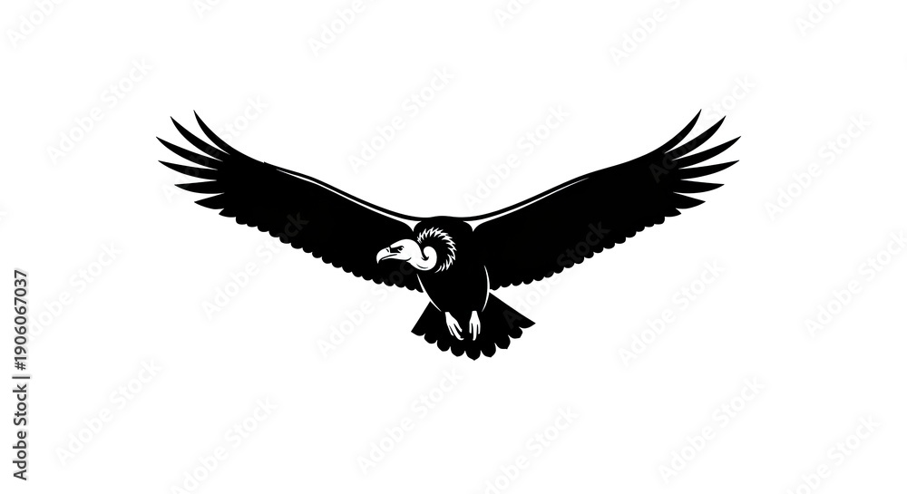 Obraz premium Silhouette of a Vulture in Flight with Wings Spread Wide.
