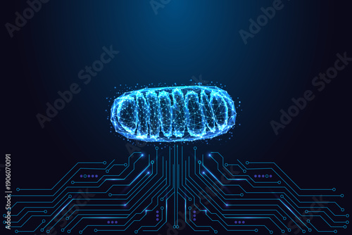 AI Biotech Mitochondria Concept with Digital Mesh and Circuit Board Energy Flow vector Illustration