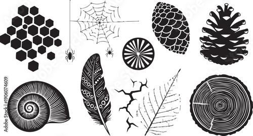 Black Silhouette Collection of Nature and Abstract Elements Keywords: Nature, abstract, silhouette, black and white, illustration, graphic, design, honeycomb, spider web, spider, pine cone, wood