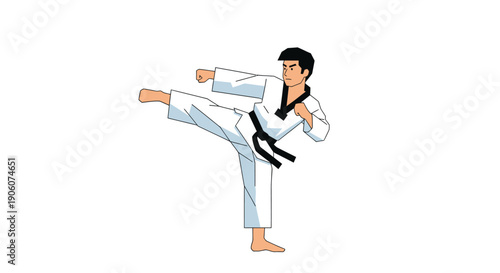 A dynamic illustration depicts a martial artist executing a high kick showcasing strength and agility silhouette high quality professional detailed modern