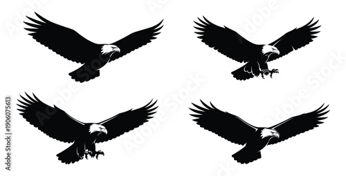 Set of four black silhouette vector illustrations of bald eagles in flight with wings spread and sharp gaze, showing various attack and soaring poses. Concept of power, freedom, wildlife, patriotism