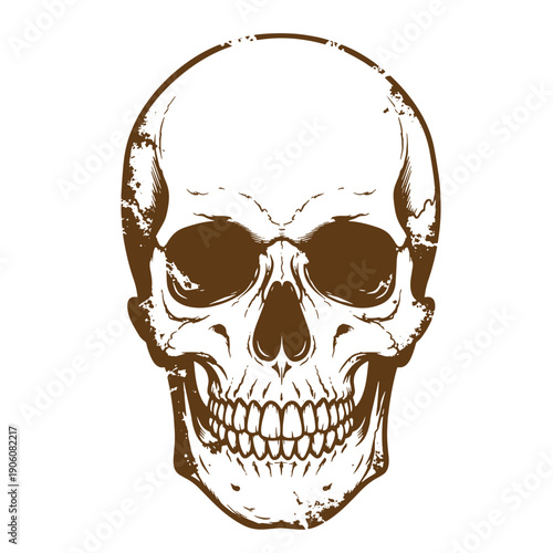 Grunge texture human skull illustration with grungy texture and sepia tone on white background Vintage Style