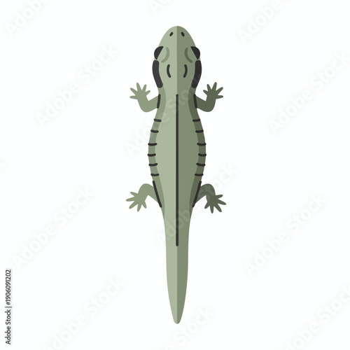 Green Lizard Toy on White Background