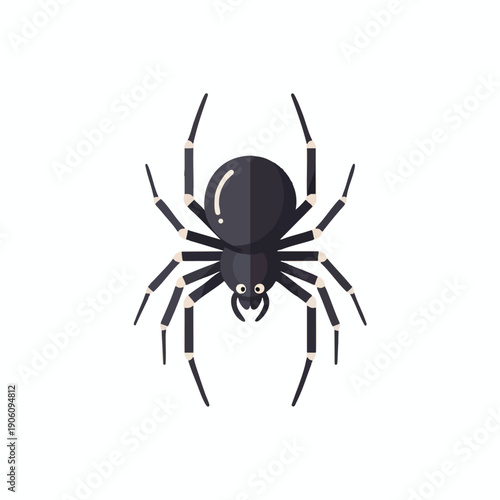 Vector Black Spider Icon on White Background