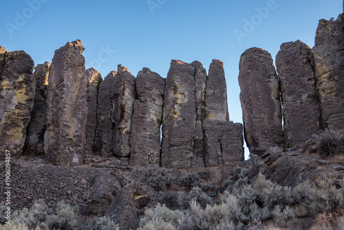 Basalt Rocks Feathers at Frenchman Coulee