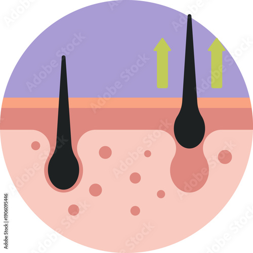 Hair icon – Represents unwanted body hair targeted for removal through cosmetic or treatment procedures.