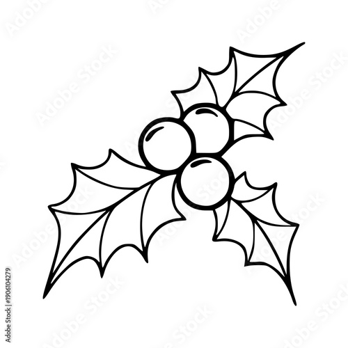 minimalist mistletoe branch icon with holly berries outline