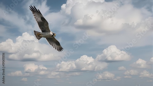 Majestic Osprey Soaring Through a Cloudy Sky.