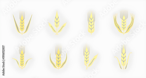 wheat, grain, ears, cereal, agriculture, farming, harvest, crop, plant, botanical, nature, organic, food, bread, bakery, flour, field, rural, farm, golden, spike, ear, stalk, seed, nutrition, healthy,