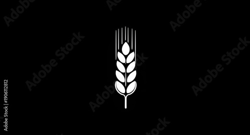 wheat, grain, ears, cereal, agriculture, farming, harvest, crop, plant, botanical, nature, organic, food, bread, bakery, flour, field, rural, farm, golden, spike, ear, stalk, seed, nutrition, healthy,