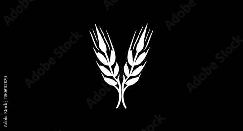 ears, wheat, grain, cereal, rye, barley, agriculture, farming, harvest, crop, plant, botanical, nature, natural, organic, food, bread, flour, bakery, field, countryside, rural, farm, golden, yellow, s