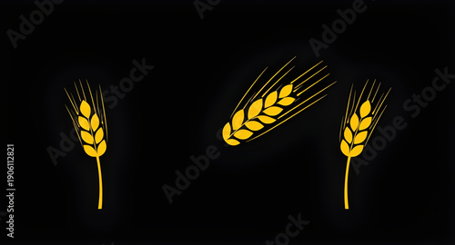ears, wheat, grain, cereal, rye, barley, agriculture, farming, harvest, crop, plant, botanical, nature, natural, organic, food, bread, flour, bakery, field, countryside, rural, farm, golden, yellow, s