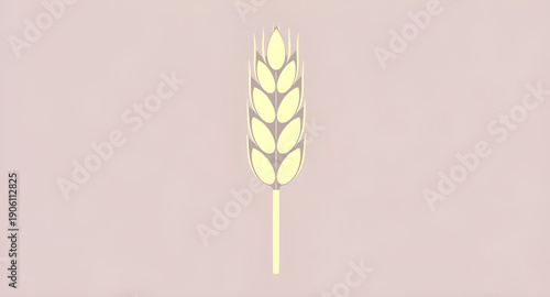 ears, wheat, grain, cereal, rye, barley, agriculture, farming, harvest, crop, plant, botanical, nature, natural, organic, food, bread, flour, bakery, field, countryside, rural, farm, golden, yellow, s