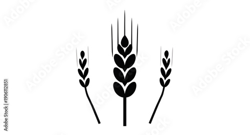 wheat, ears, grain, cereal, barley, rye, agriculture, farming, harvest, crop, plant, botanical, nature, natural, organic, food, bread, bakery, flour, field, rural, countryside, farm, golden, yellow, s