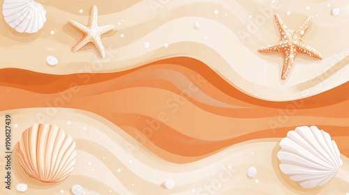 vector illustration of a seashell