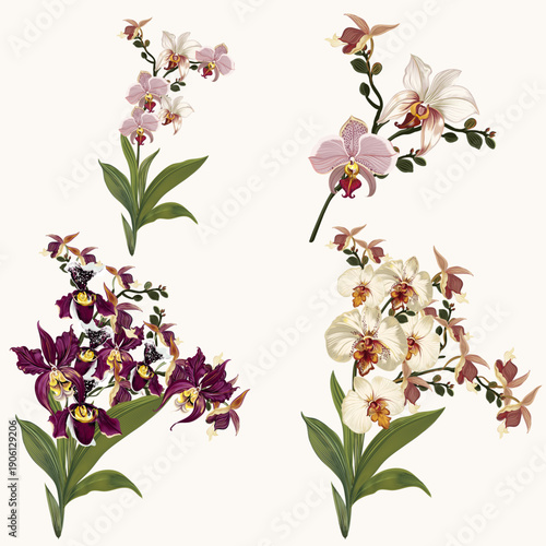 Set of vector hand drawn tropical orchids isolated