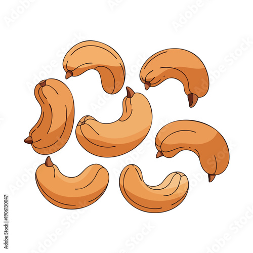 Cashew nuts illustration