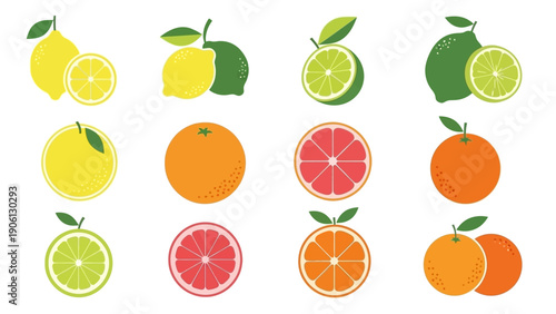 Assorted citrus fruits and oranges arranged in a grid pattern on a clean white background.
