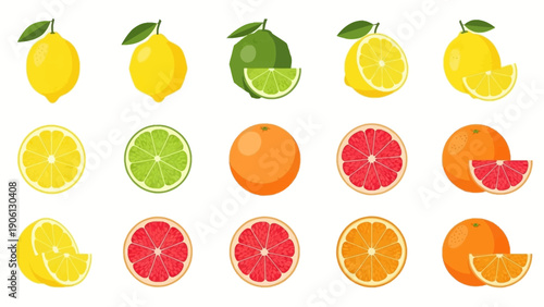 Assorted citrus fruits and slices arranged in a grid pattern on a clean background